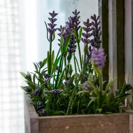 Apartman Garden With A View